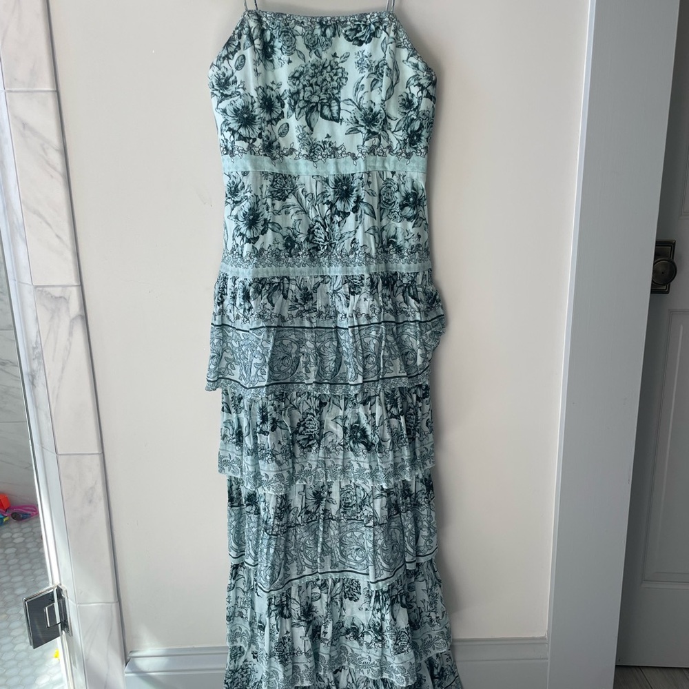 Alice and Olivia Maxi Size 6